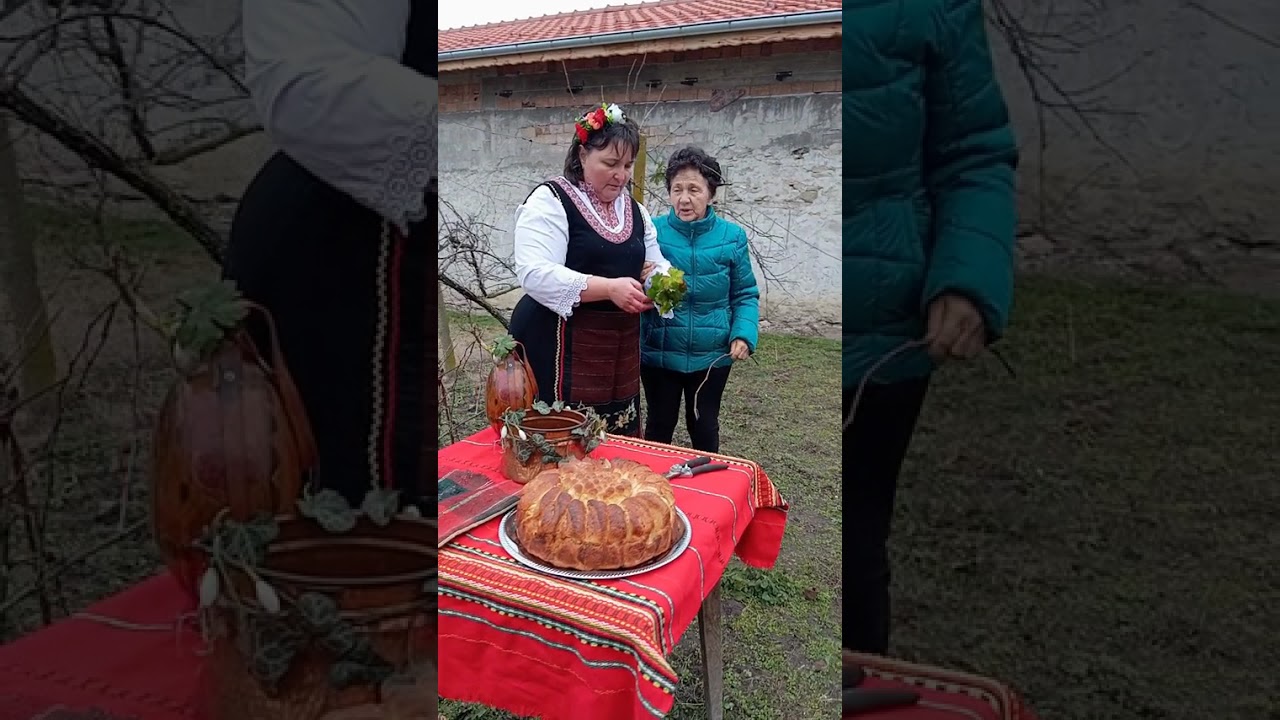 Трифон зарезан в с. Леденик, великотърновско, 2026 г.