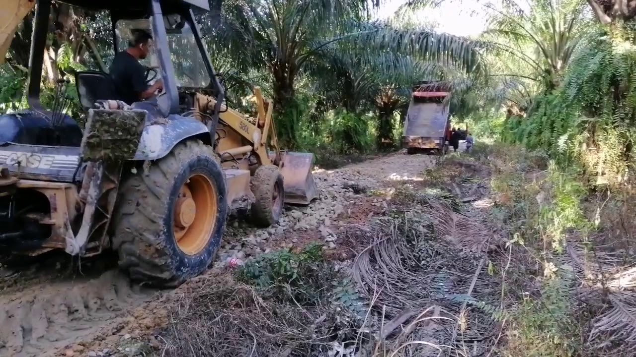 BACKHOE Baiki Jalan Kebun Kelapa Sawit.