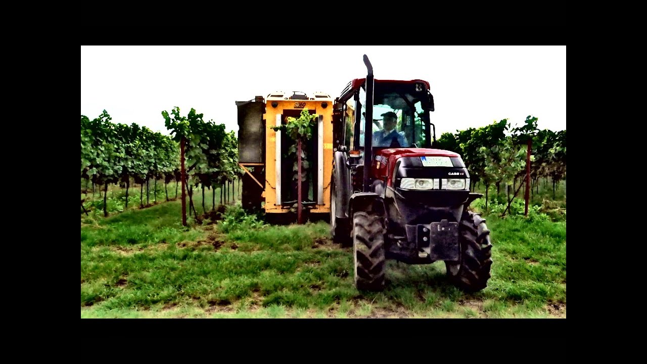 Weinlese 2016 mit Case Quantum 95V und Gregoire G60