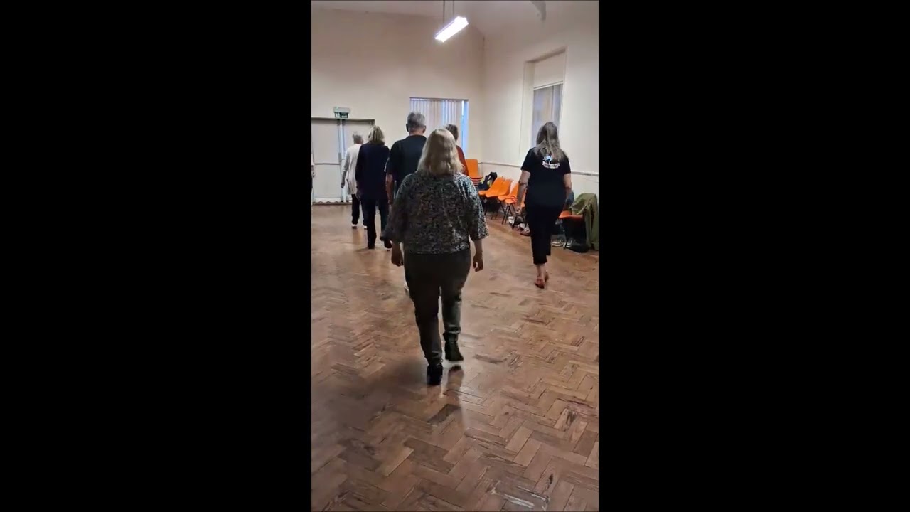 Took A Walk Stardancers