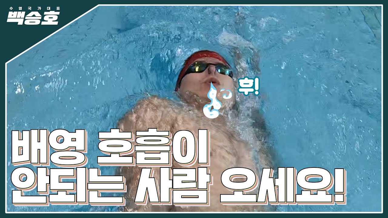 배영 호흡하는 타이밍 알려드릴게요~