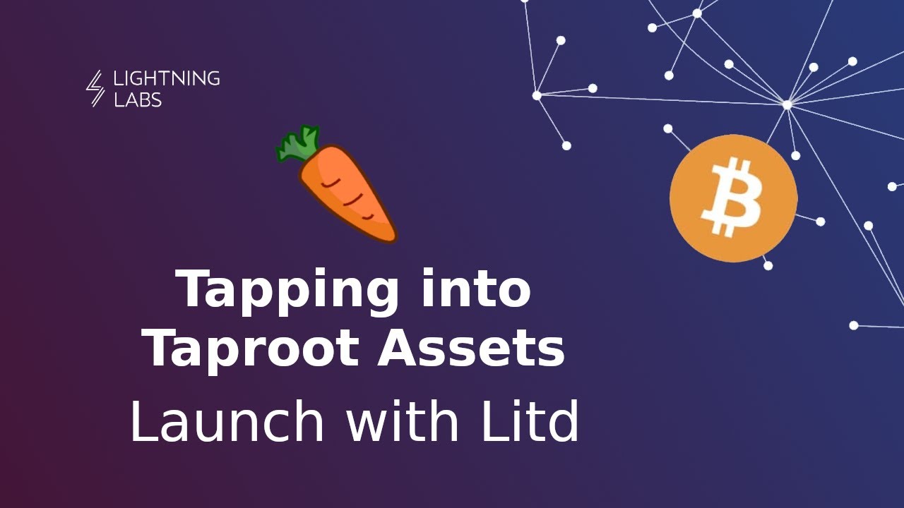 Tapping into Taproot Assets #3: Launch with Litd