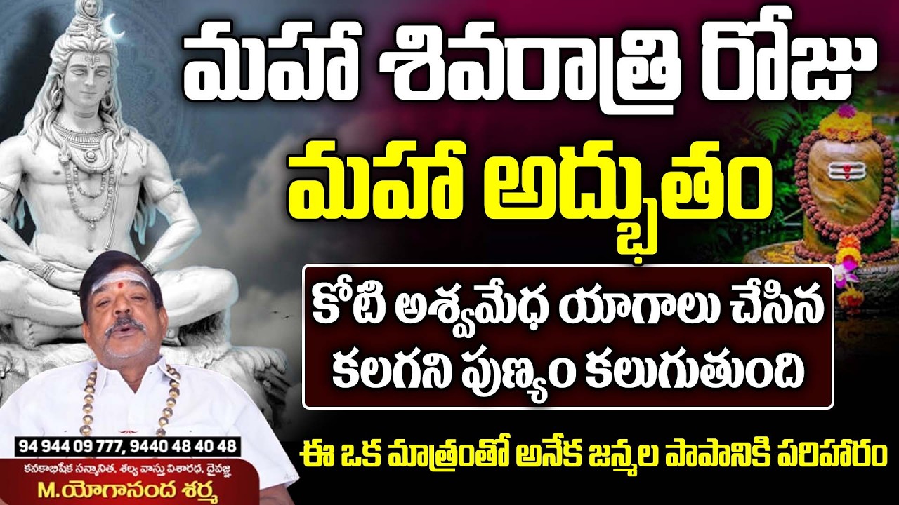 మహా శివరాత్రి రోజు మహా అద్భుతం | Mahashivratri 2026 Importantce in Telugu | Mys Astro