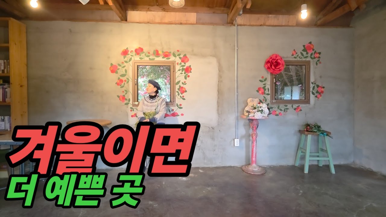 🇰🇷  🌺 동백꽃보러  떠난  제주도 가성비 여행  | 제주가성비숙소 | 서귀포맛집 | 카페 | 동백꽃카페 