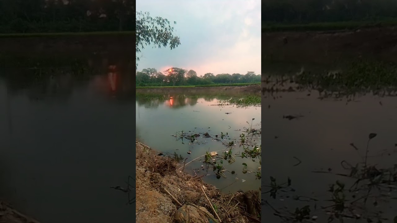 SUNSET atau matahari terbenam di normalisasi sungai #sungai #mancing #normalisasisungai