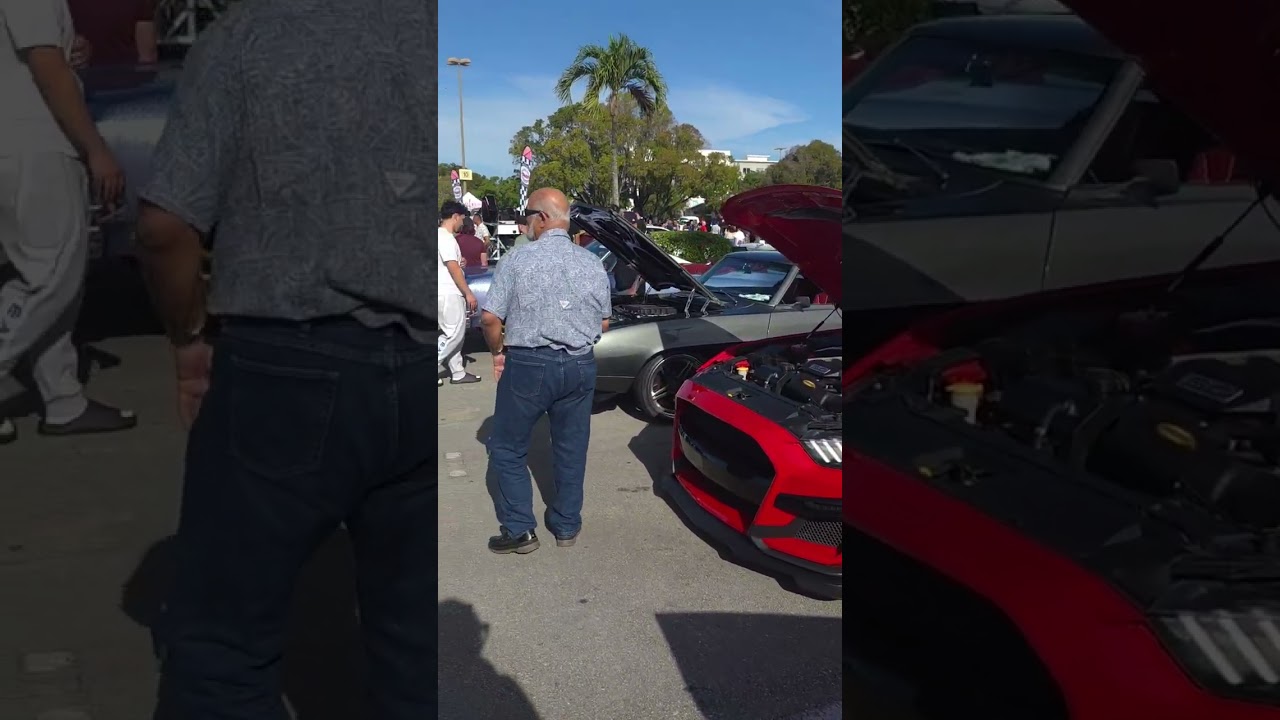 WE WENT TO OUR FIRST SHOW OF THE YEAR!  @carsandcoffemiami#carsandcoffee#cars #carshow#fyp#trending