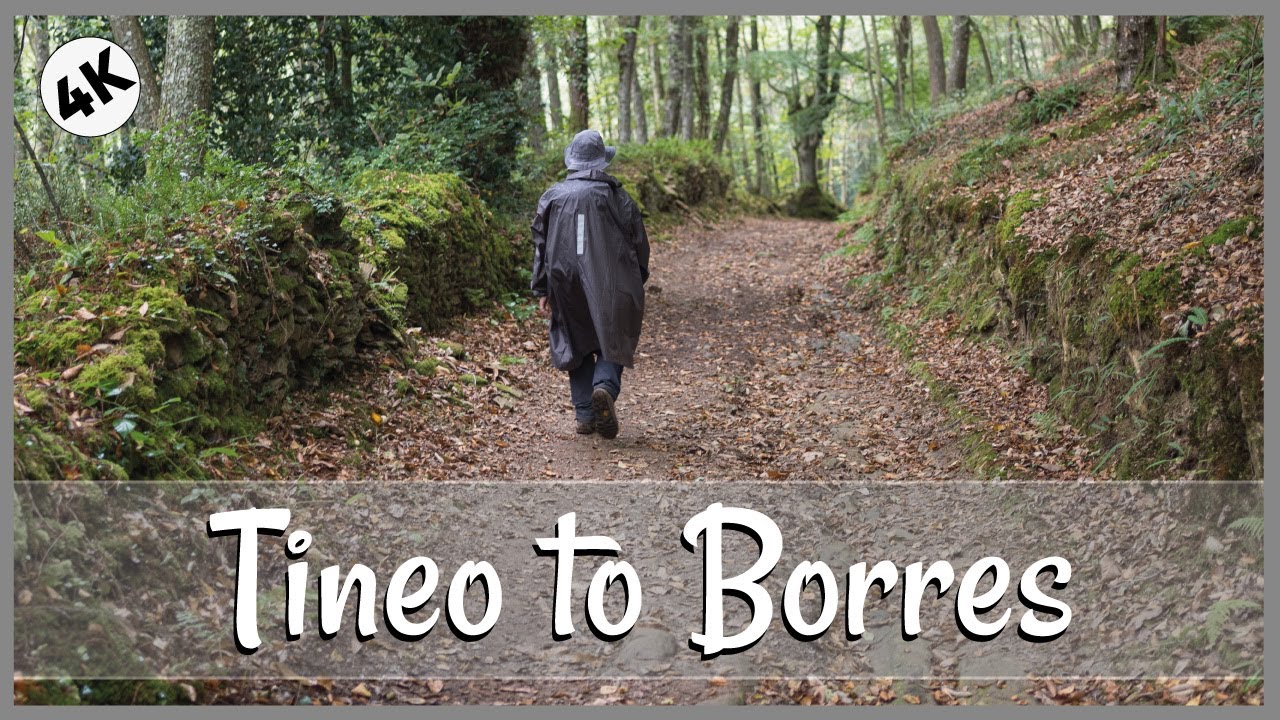 Experience Camino Primitivo: Tineo to Borres in 4K