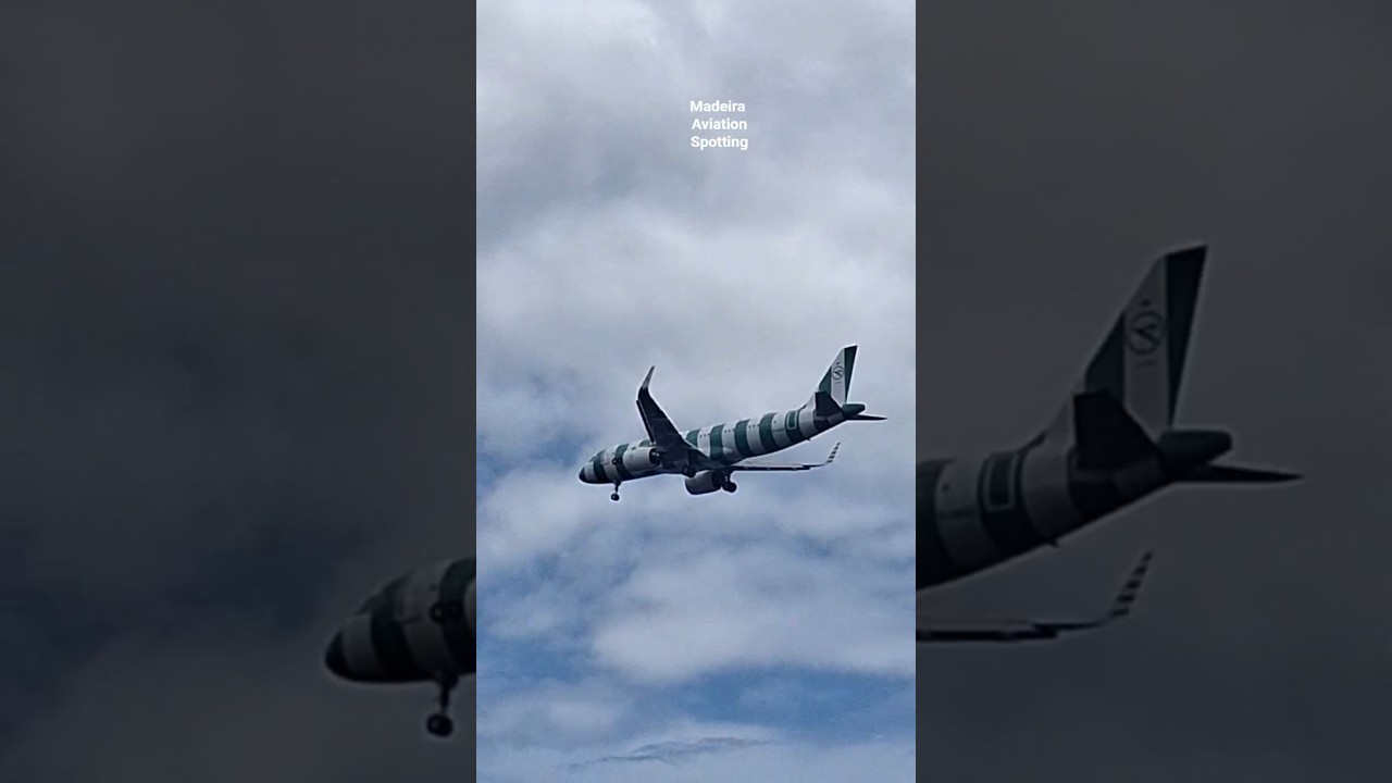 A320N Condor Green Island Livery  approach at Madeira Airport #aviation #landing @condor