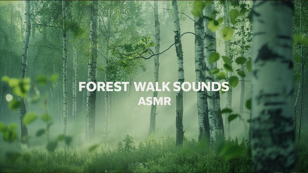 1 Hours Forest Walking Sounds 🌿 Gentle Footsteps & Birds | Relaxing Nature ASMR