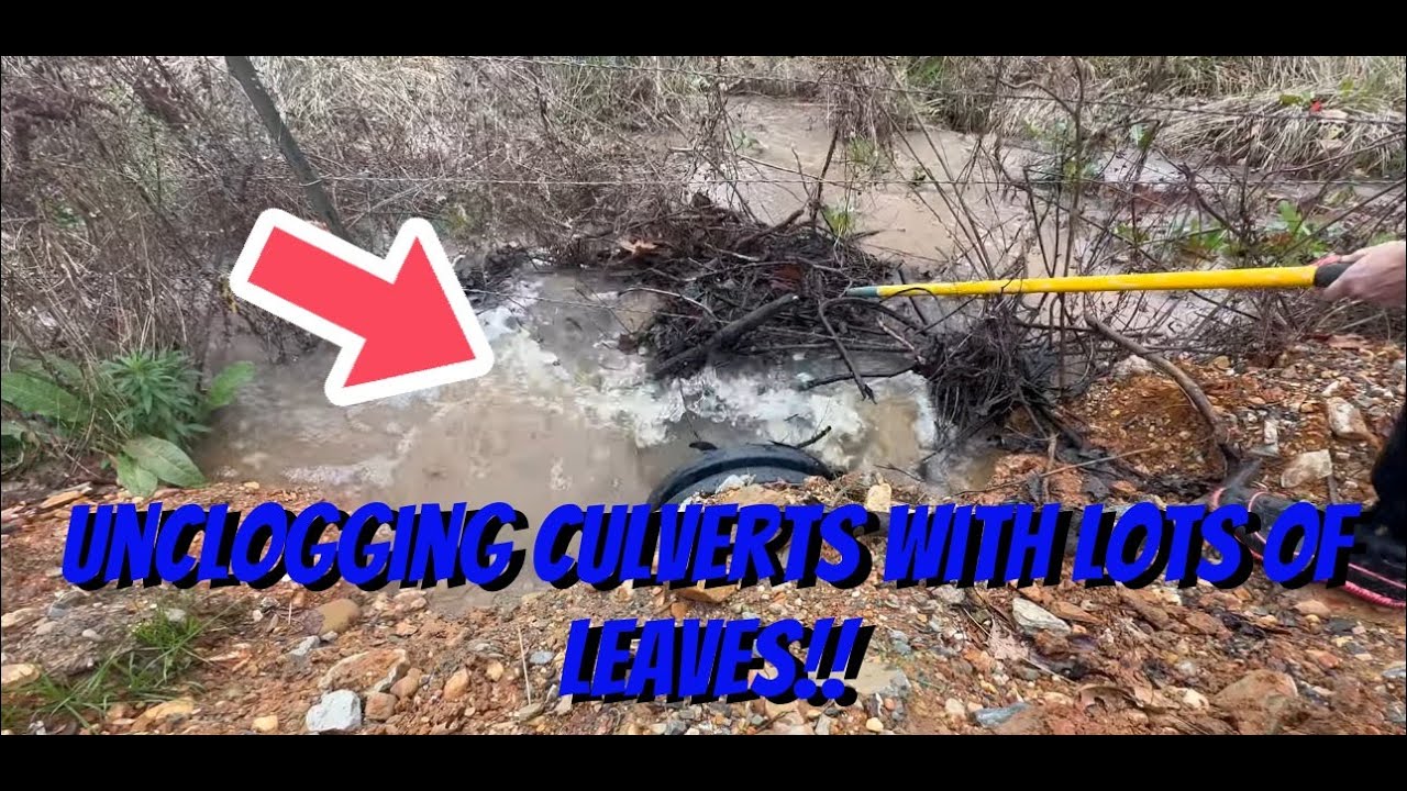 UNCLOGGING LOTS OF CULVERTS WITH LEAVES AND BACKED UP WATER 03/2024