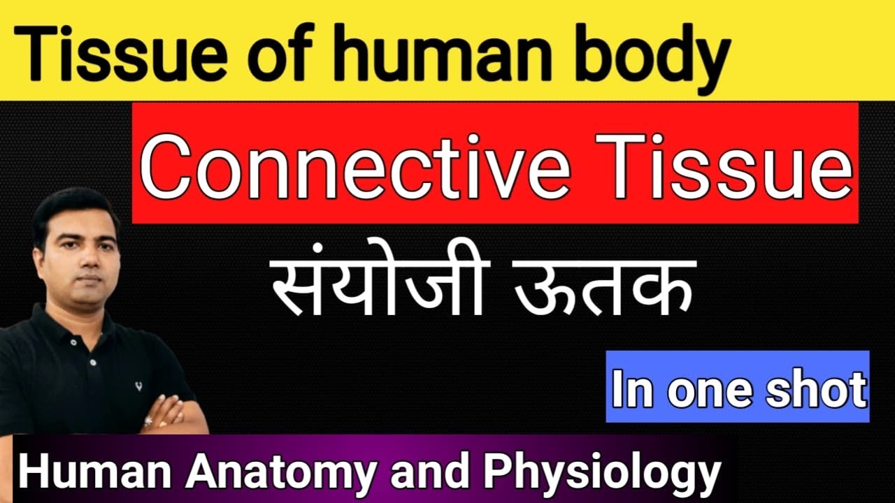 Tissue of Human body (Part-4) Complete connective Tissue in one shot video by Avrendra Singh