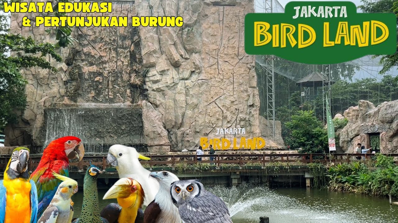 UPDATE‼️JAKARTA BIRD LAND ANCOL 2025 | INFO LENGKAP TIKET DAN JADWAL SHOW JAKARTA BIRD LAND