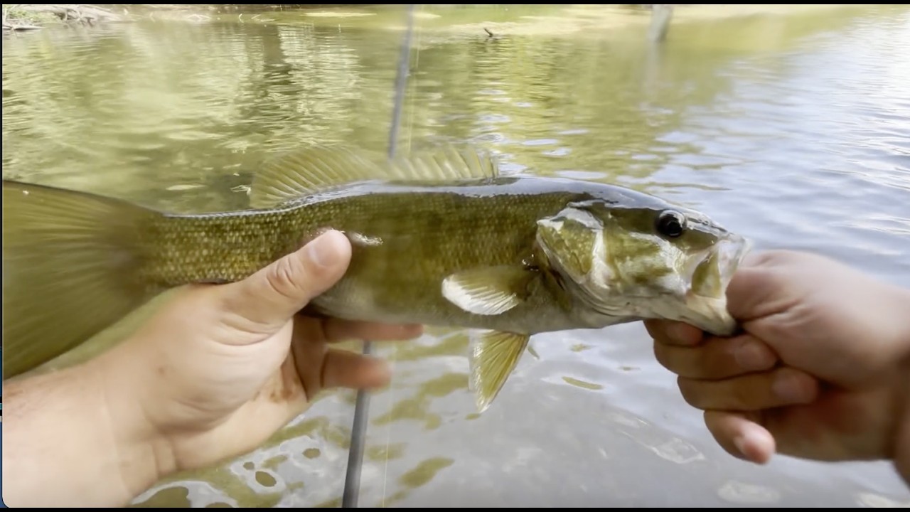 Indiana River Fishing For... Smallmouth Bass?