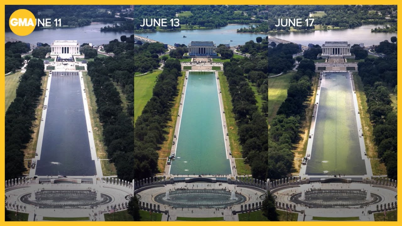 Reflecting pool problems after nearly $15M renovation
