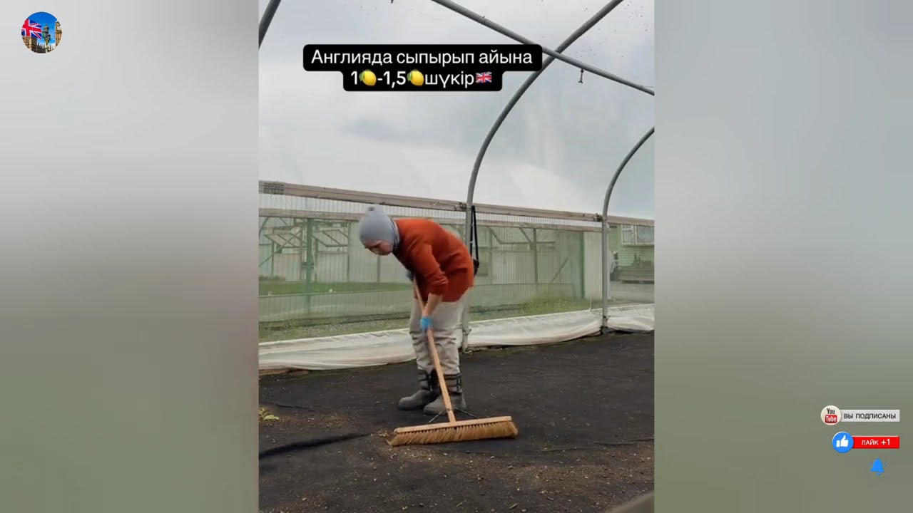 Англиядағы жұмыс! 