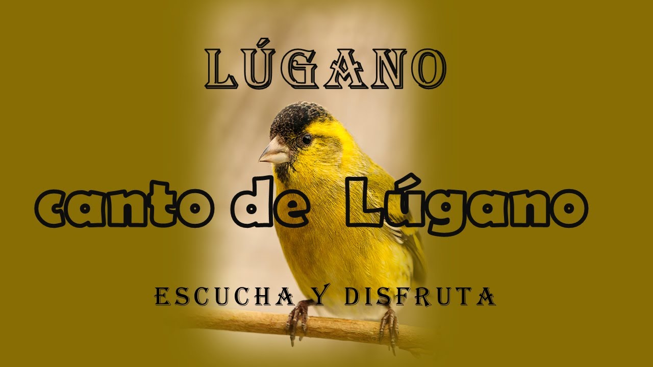 Canto  de  Lúgano, escucha y disfruta.