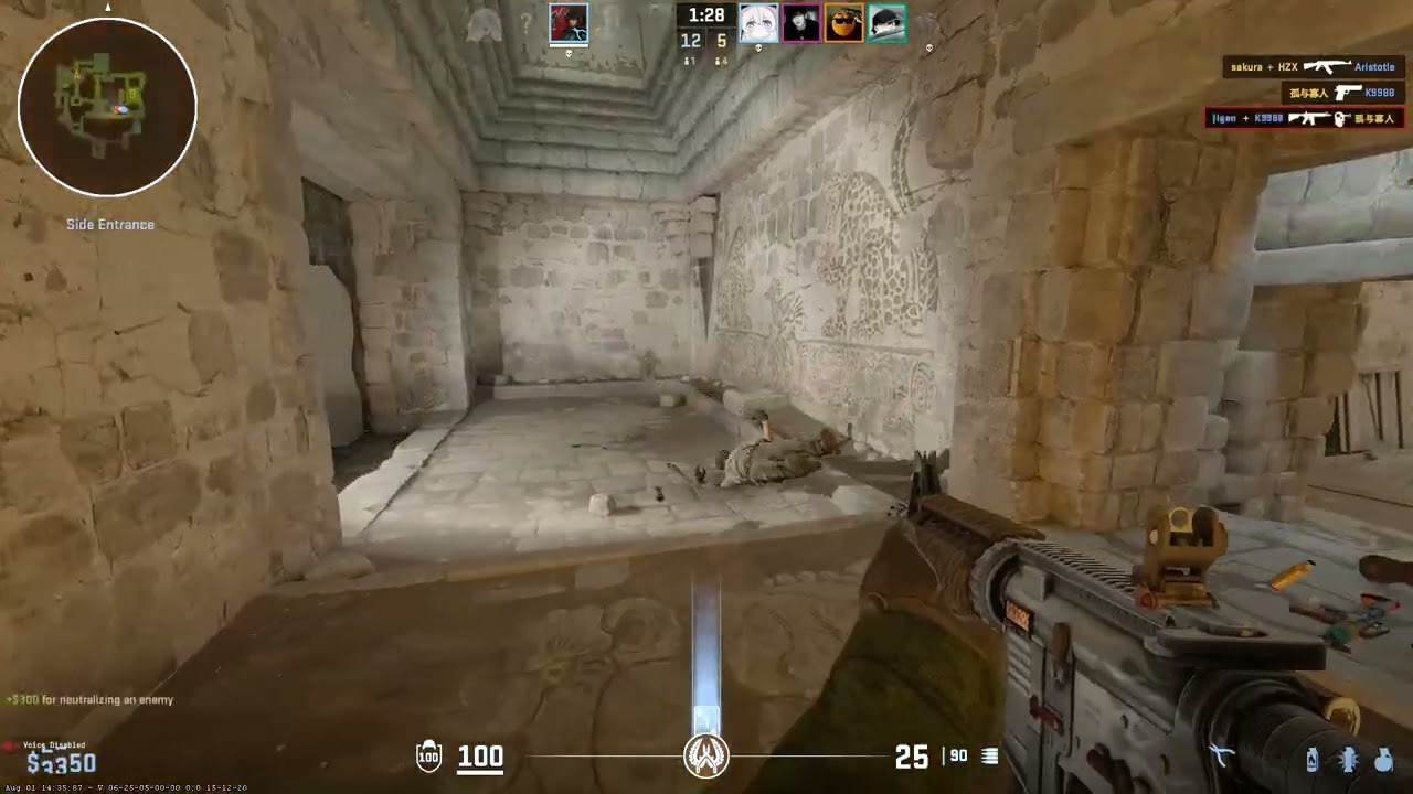 CS2 HEADSHOT COMPILATION