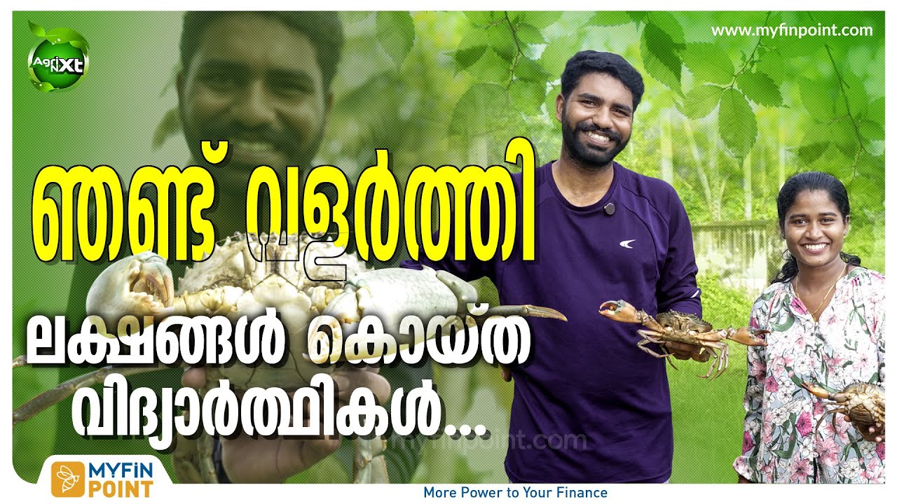 Mud Crab Farming | ലക്ഷങ്ങള്‍ കൊയ്യാം ഈ ബിസിനസില്‍ | Crab Business | Agri Nxt | MyFin Tv Malayalam