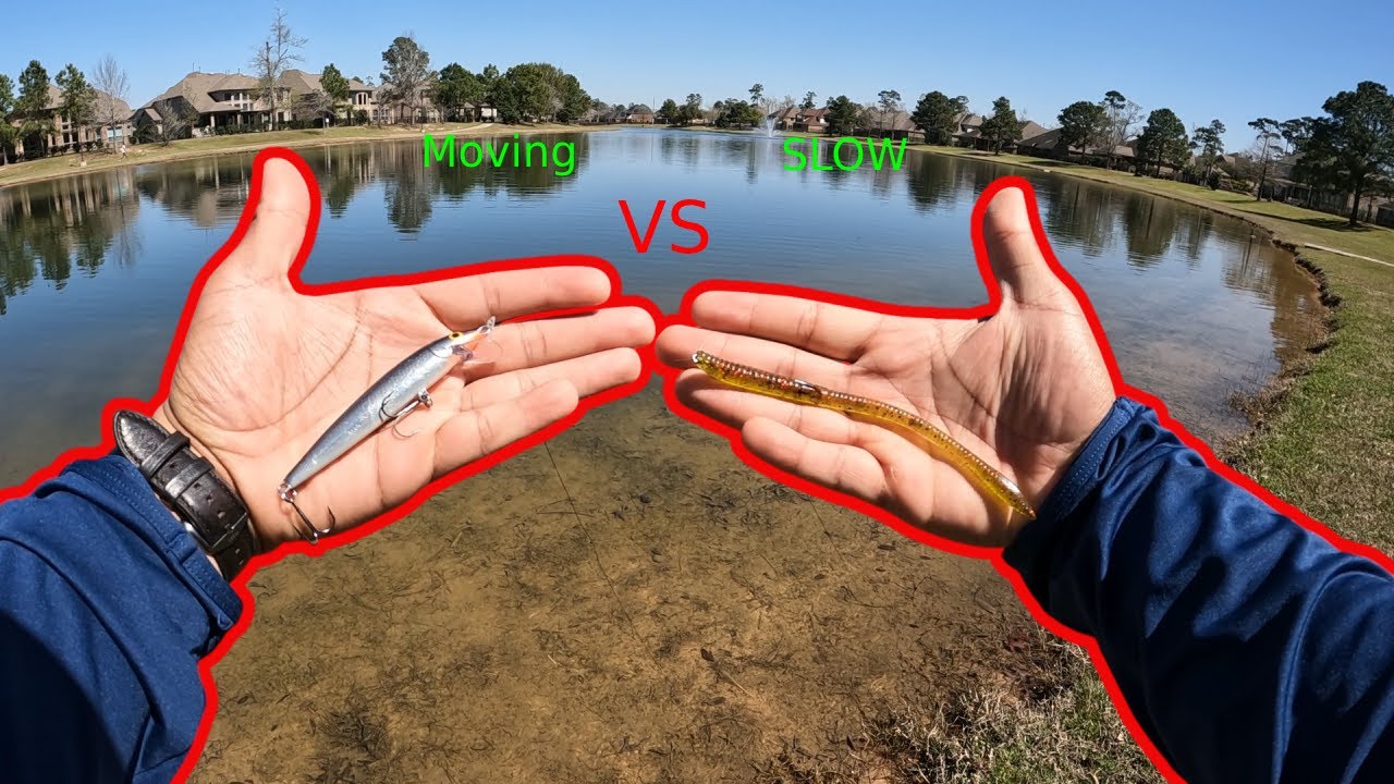 Does slow baits or moving baits catch more fish?