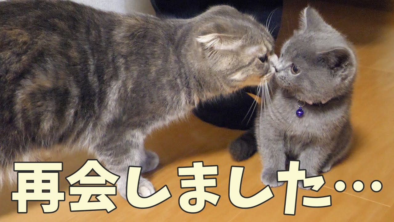 再会…