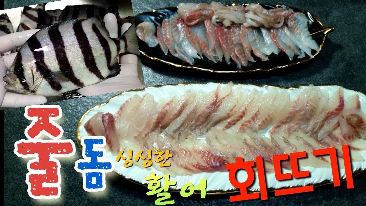 🐠줄돔&돌돔 작아도 맛이 끝내주는 