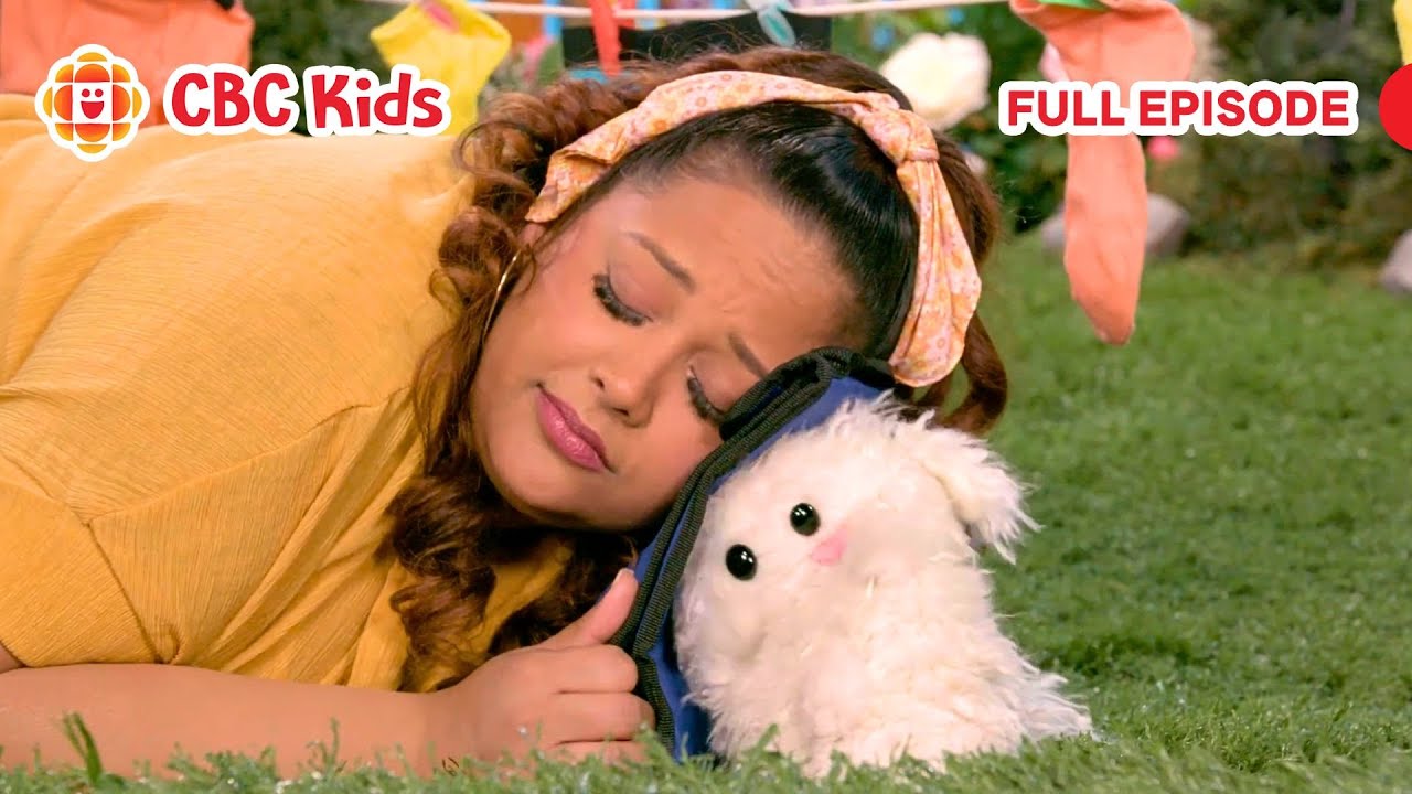 ASL Preschool Show | Soft (Silly Paws) | CBC Kids