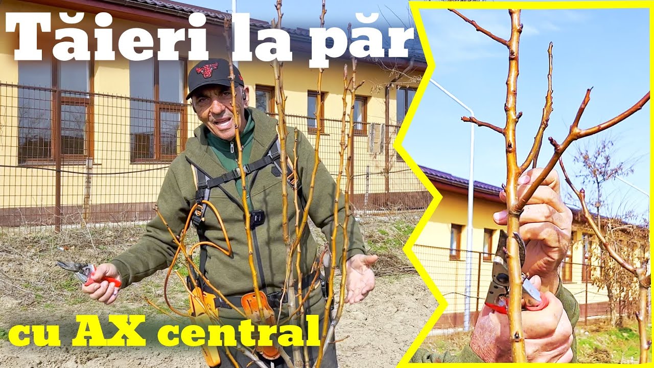 Taieri la par cu ax central