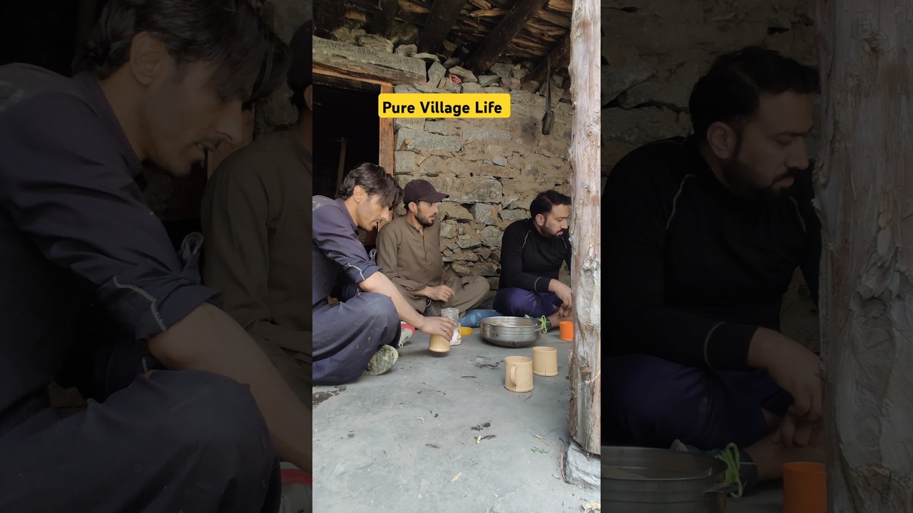 Pure Village Life at Gilgit Baltistan Mountains #explore #mountains #pakistan #villagelife