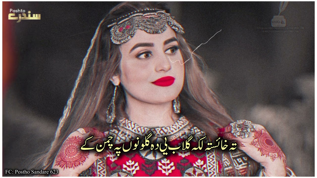 Ta Kaista Laka Gulab E Da gulono Pa chaman ke ||Zama sar babaar babaar |Postho New  new Song