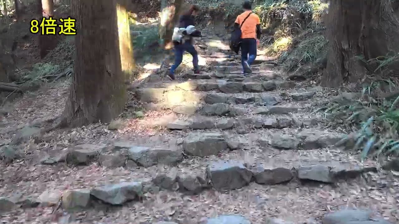 西国三十三カ所観音霊場　第四番札所　槇尾山施福寺参道　全行程