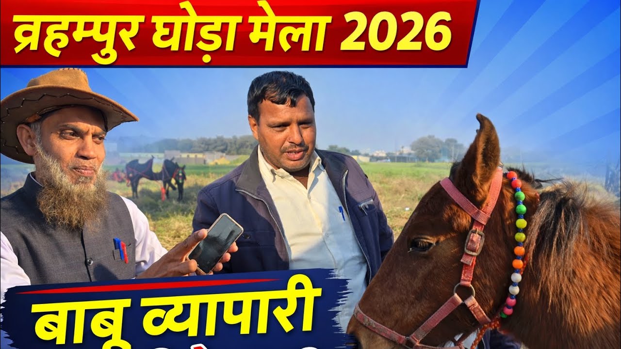 बाबू व्यापारी के शानदार घोड़े, ब्रह्मपुर घोड़ा मेला 2026, 94114 97251
