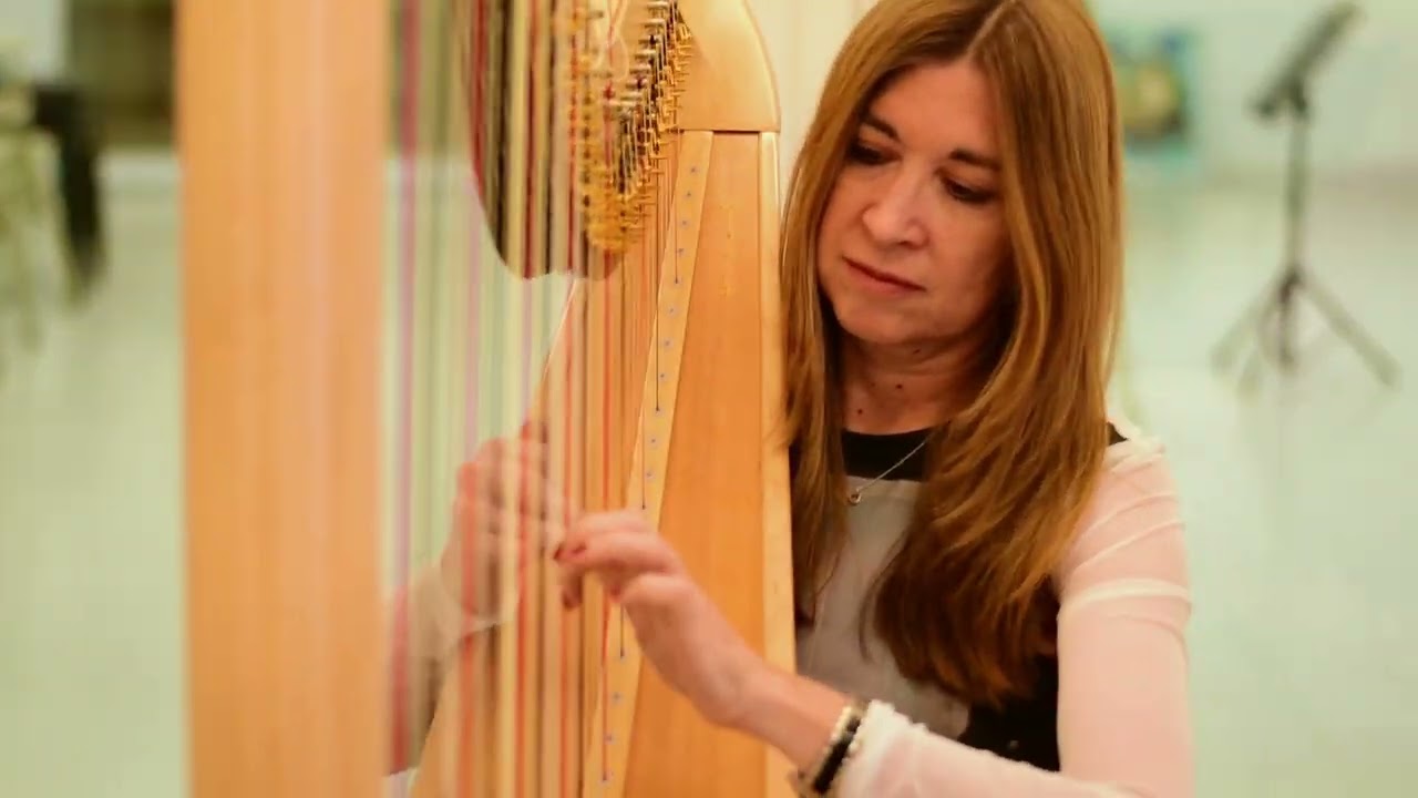 Instrumento ARPA - CSMMF