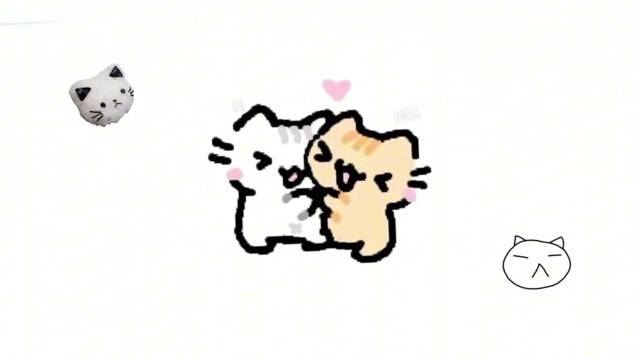 Silly cat 🐈 Playlist for silly cat lovers! ₍^.  ̫.^₎