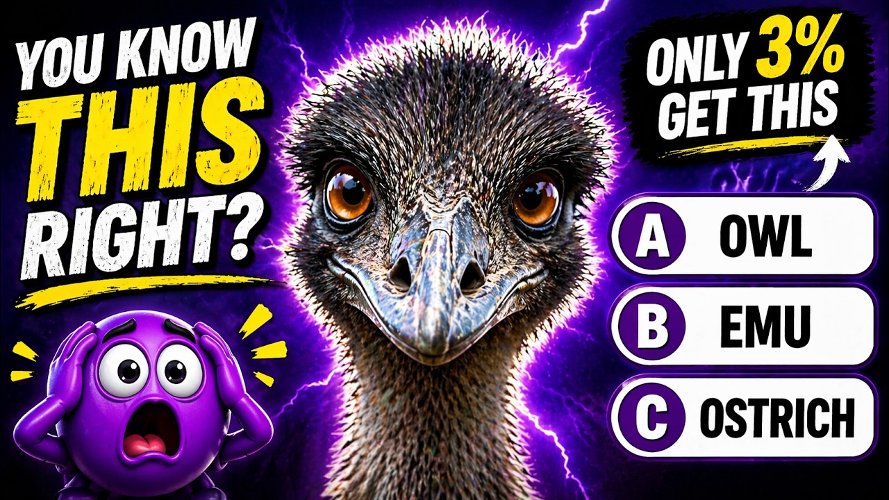 Is Your General Knowledge Above Average? 🧠 (The 50-Question Test)