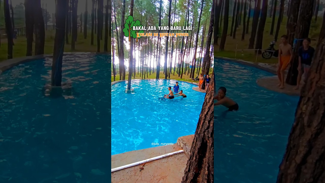 Kolam Renang di Hutan Pinus Terbaru Bakal Hadir di Mojokerto