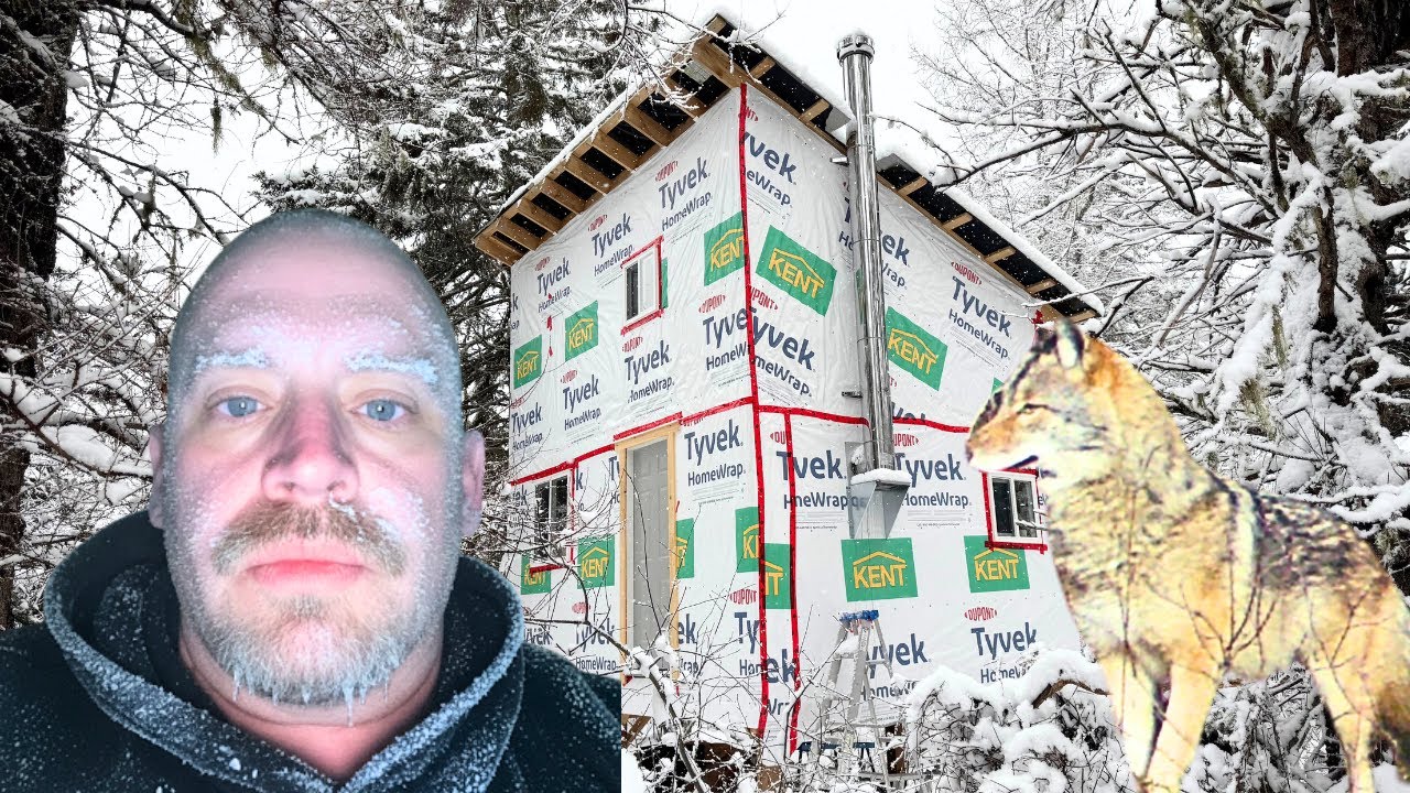 -27 градусов мороза (полярный вихрь) и дикие собаки в автономной хижине | 30 см снега | зимний ла...