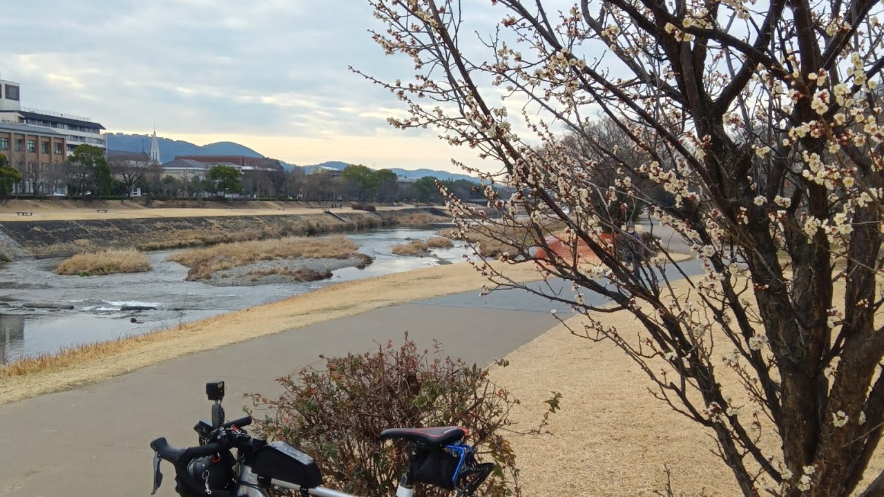 202600301 鴨川ライド