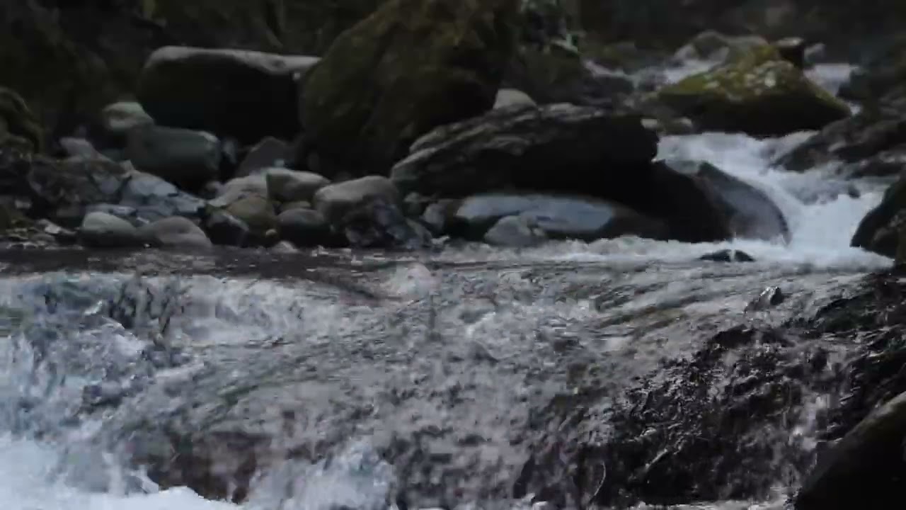 Relaxing River Sounds After Work | Calm Nature Ambience for Stress Relief
