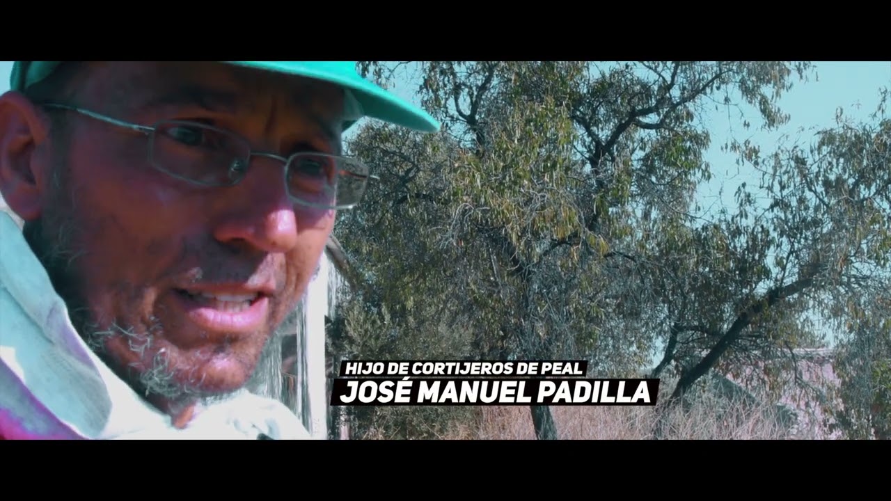 TRAILER DE 