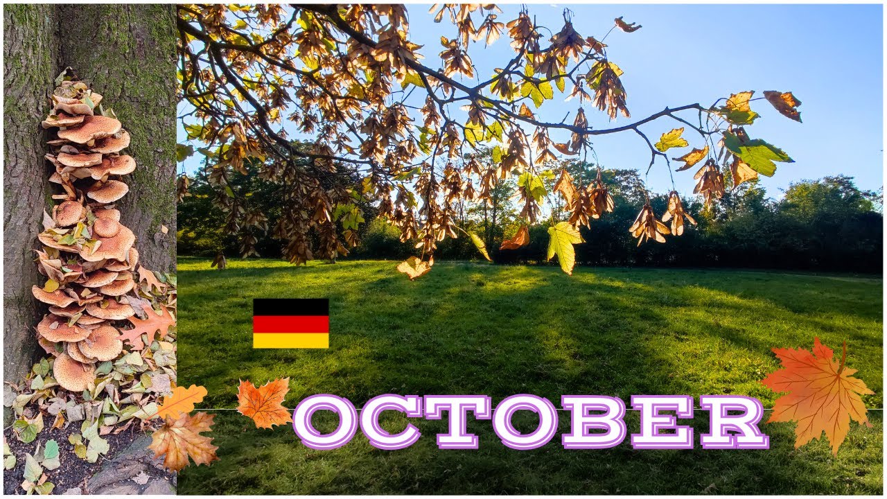 🇩🇪 My Life as a Foreign Housewife in Germany | Autumn Leaves, Home Made Kimchi and Cooking