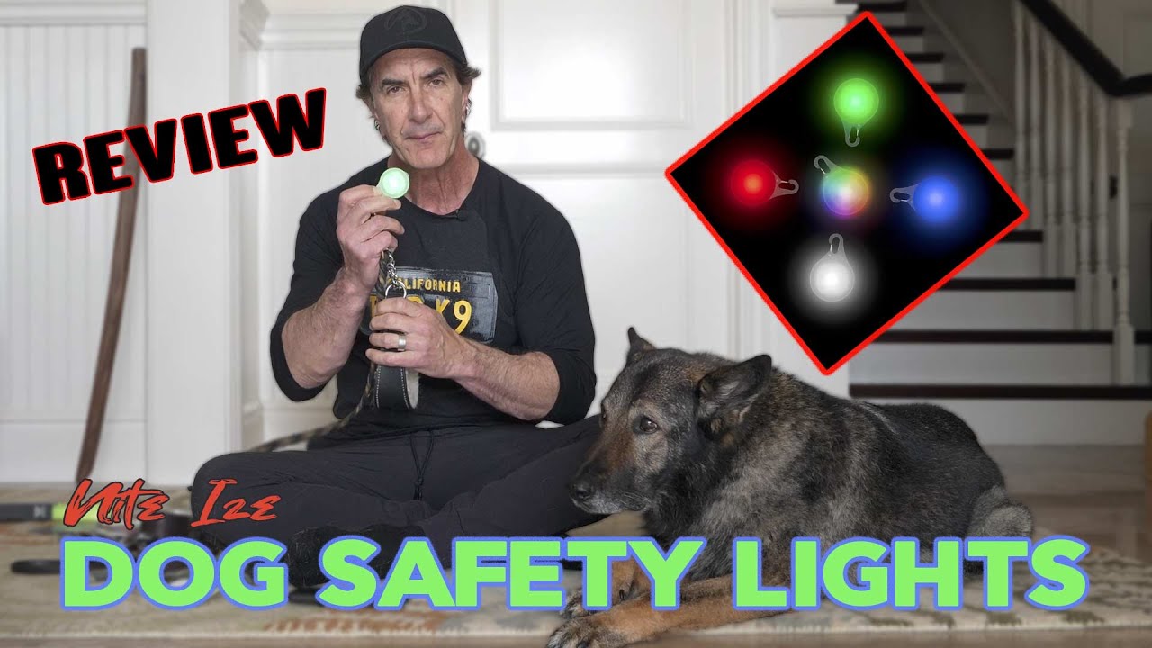 Love these Dog Safety Lights - Nite Ize LED Lights for your Dogs