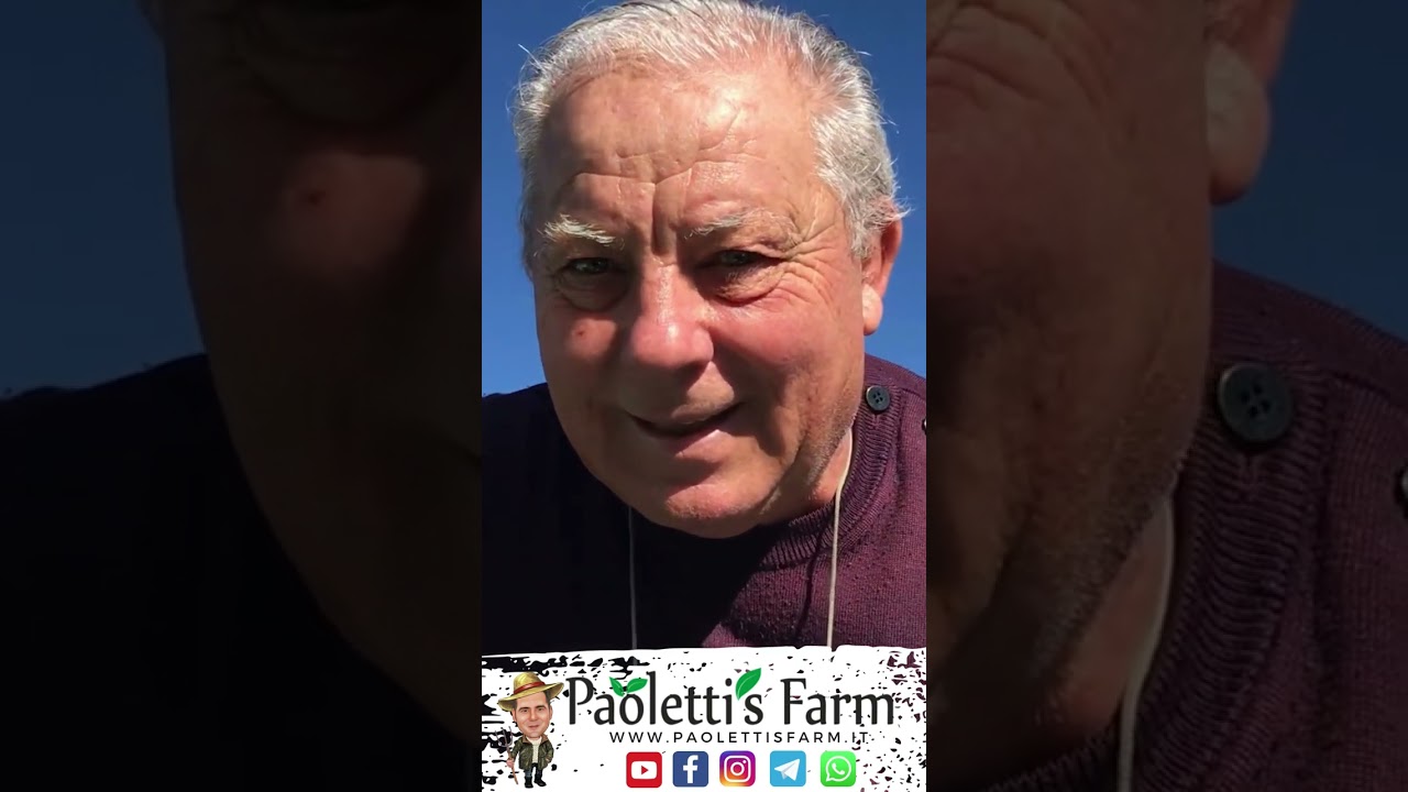 43 anni in Agricoltura ed ho una  Misera di Pensione