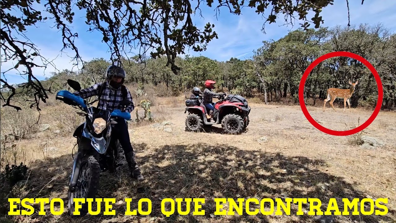 JAMAS Imaginamos VER ESTO En La Sierra De Lobos Ruta GUANAJUATO