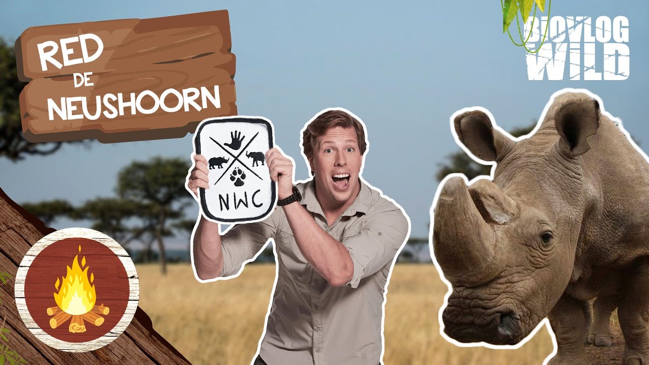 Baby Neushoorn! Freek Vonk (NWC) – 3 Dingen om NEUSHOORNS te redden! #neushoorn #rhino #dieren