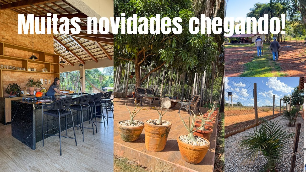 TRANSFORMAMOS A  ROÇA: JARDIM NOVO COM BRITA + FRUTAS E CAFÉ NA LAVOURA!