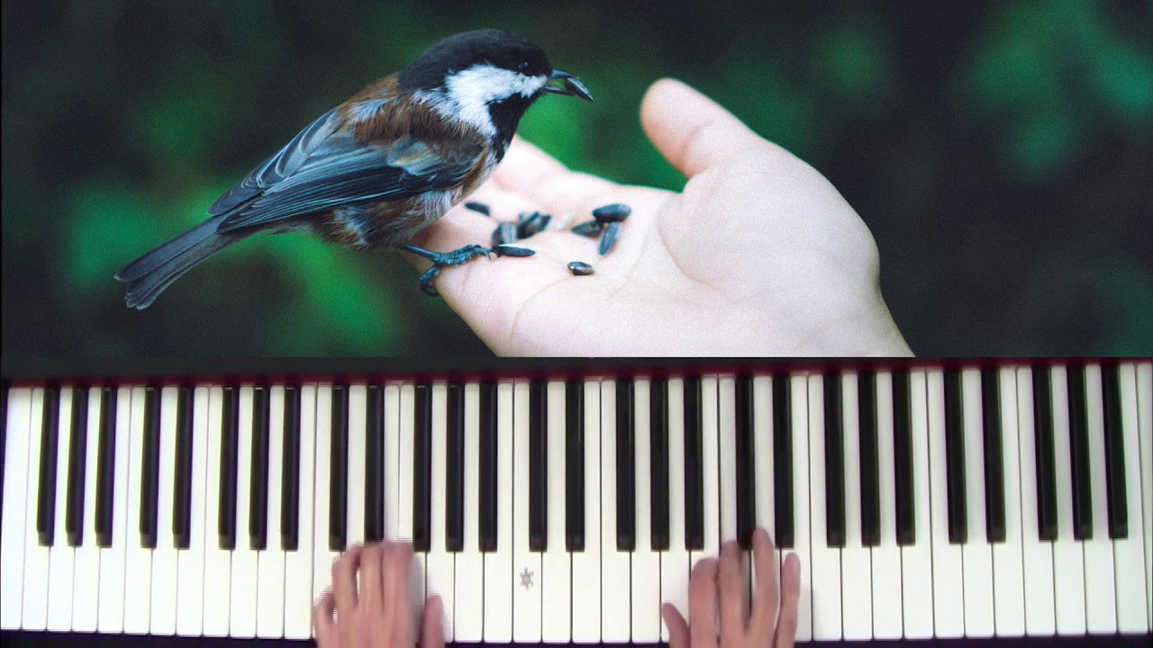 Summer song - piano - audition
