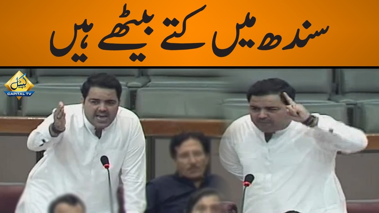 Sindh Mein Kuttay Bethe Hein | PTI MNA Faheem Khan Speech in National Assembly