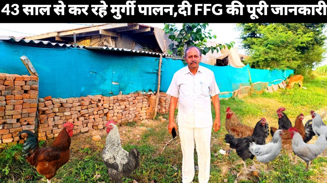 43 Years Experience in Poltry Farming //आज मिलेगी आपको FFG मुर्गा पालन की सटीक एव बारीक जानकारी