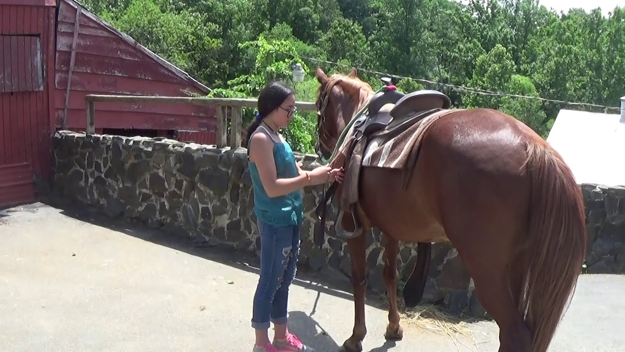 Horse Riding Lessons 6.24.18
