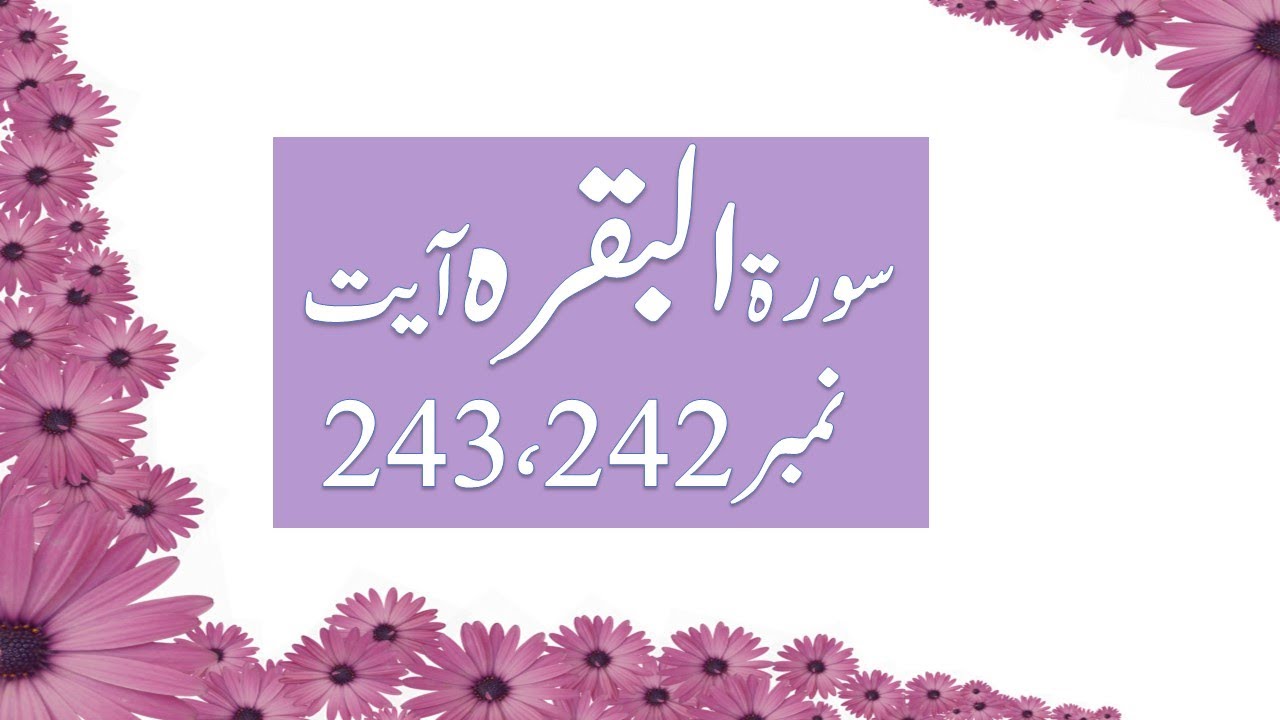 Surah Baqrah Translation and Tafseer of ayat no 242 and 243 #surahbaqrah #para2